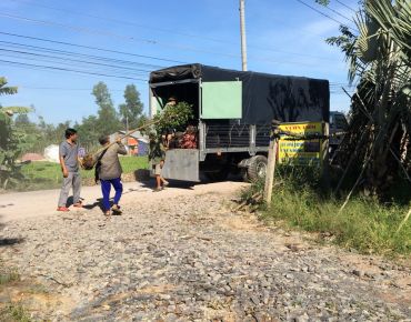 Chuyển cây Sao Đen bán cho anh Thắng